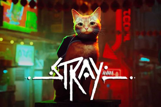 حجم Stray