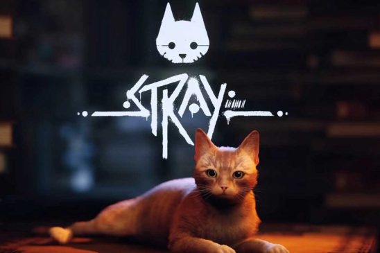 نمرات Stray