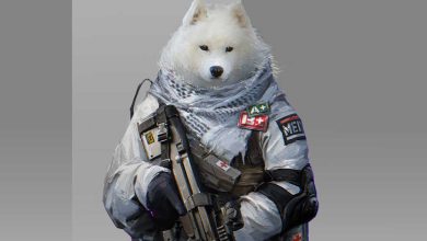 اسکین سگ در Call of Duty