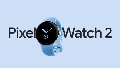 Pixel Watch 2