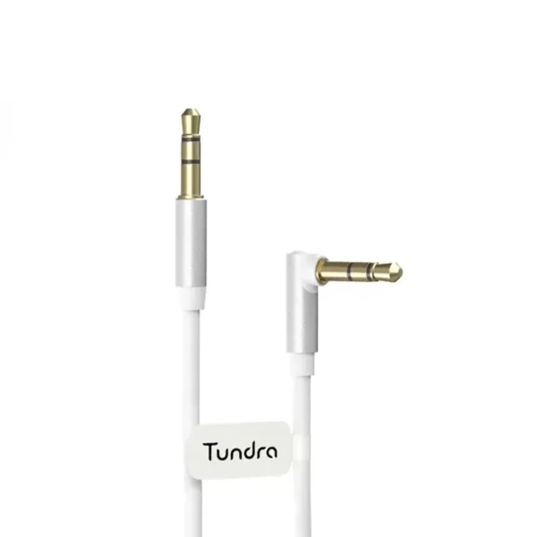 کابل AUX تاندرا T10AUX150